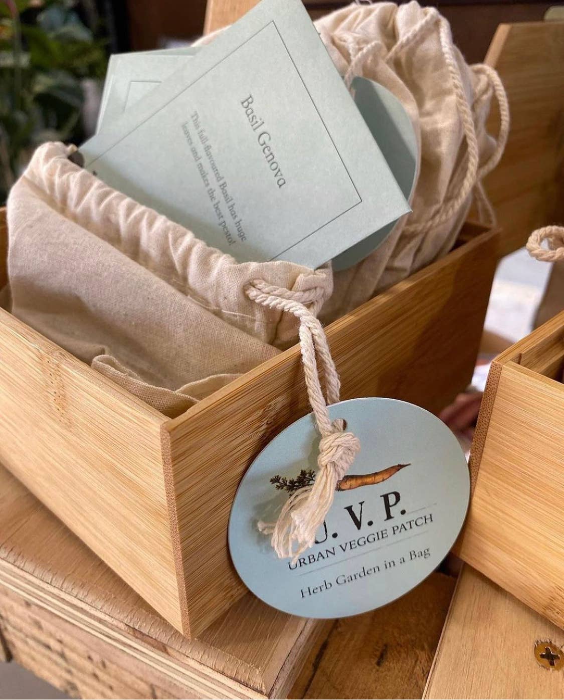 Herb Garden in a Bag