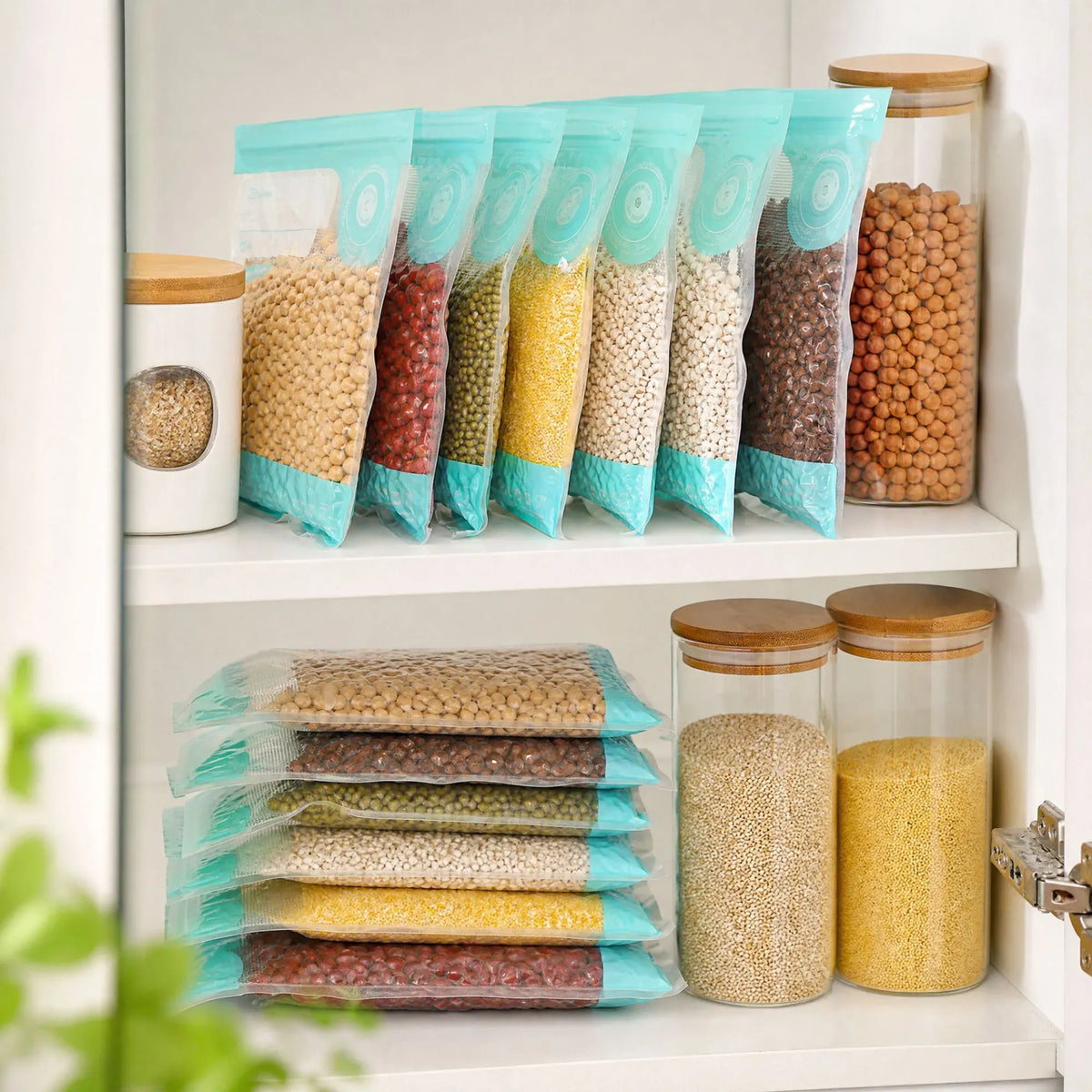 CARLA HOME Automatic Vacuum Sealer Kit with 10 Reusable Bags, White