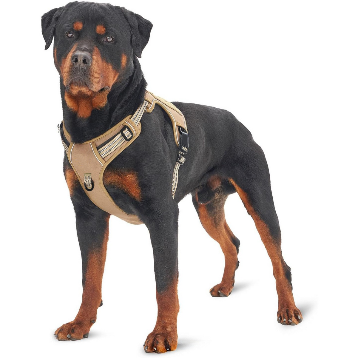Camouflage Professional Adjustable Tactical Dog Mesh Harness - Small