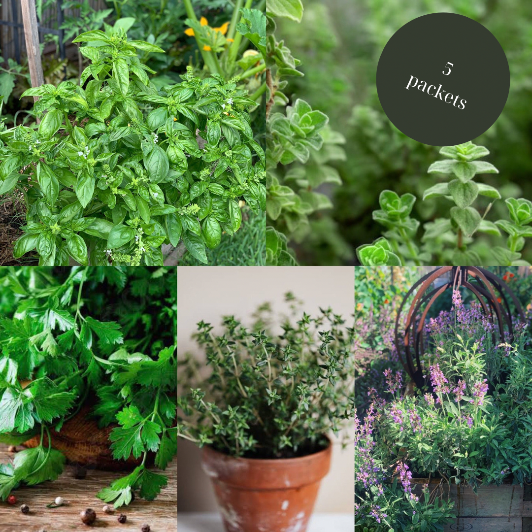 Herb Garden in a Bag