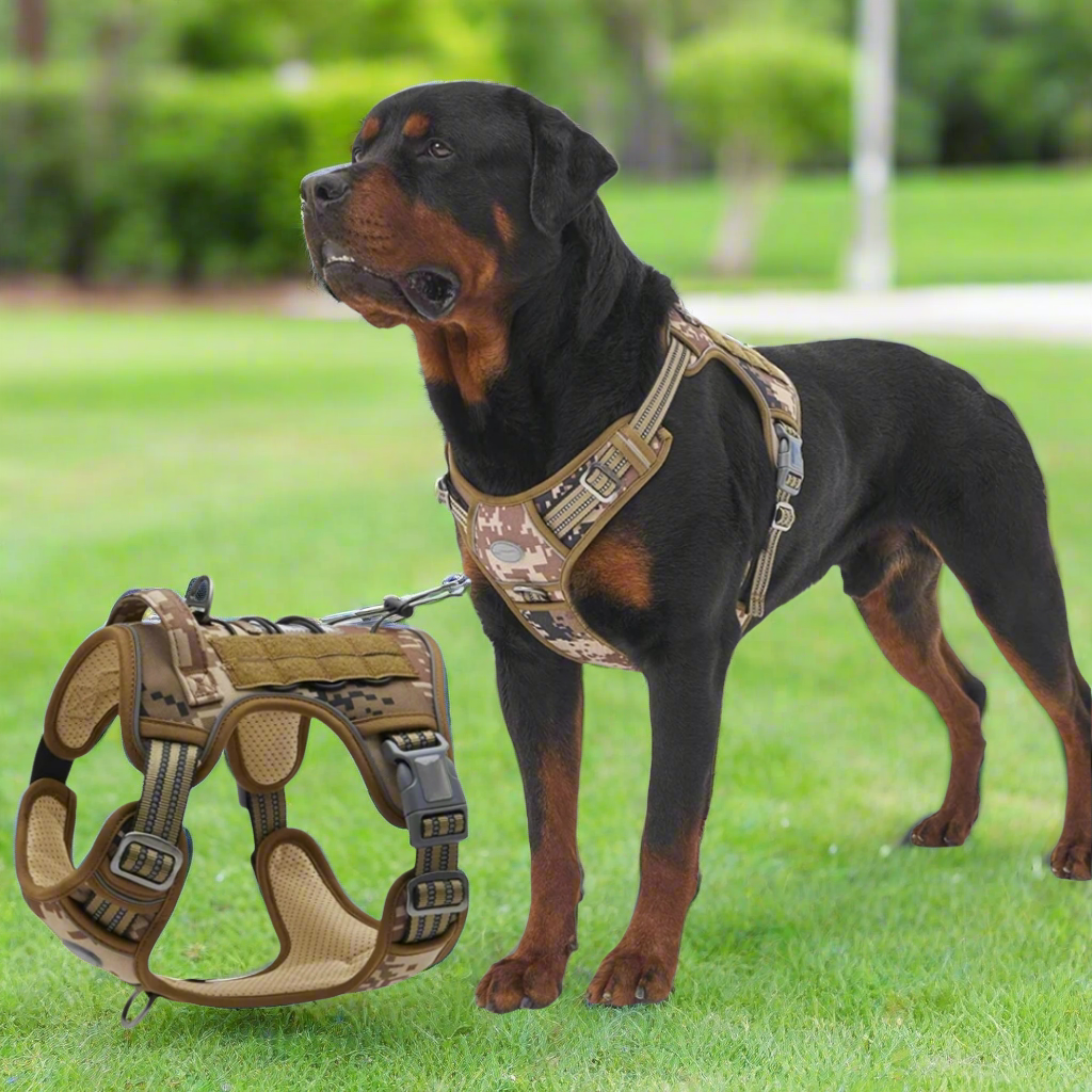 PetPro Tactical Comfort Harness | Built for Adventure, Engineered for Comfort - PrepPro Australia