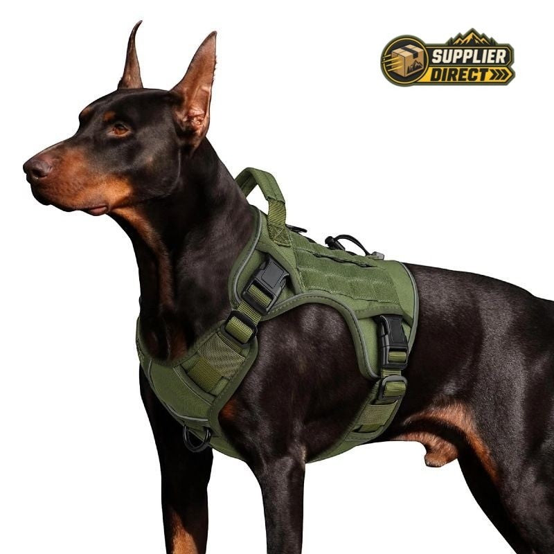 PrepPro Australia army green tactical dog harness with reflective trim and control handle on a Doberman