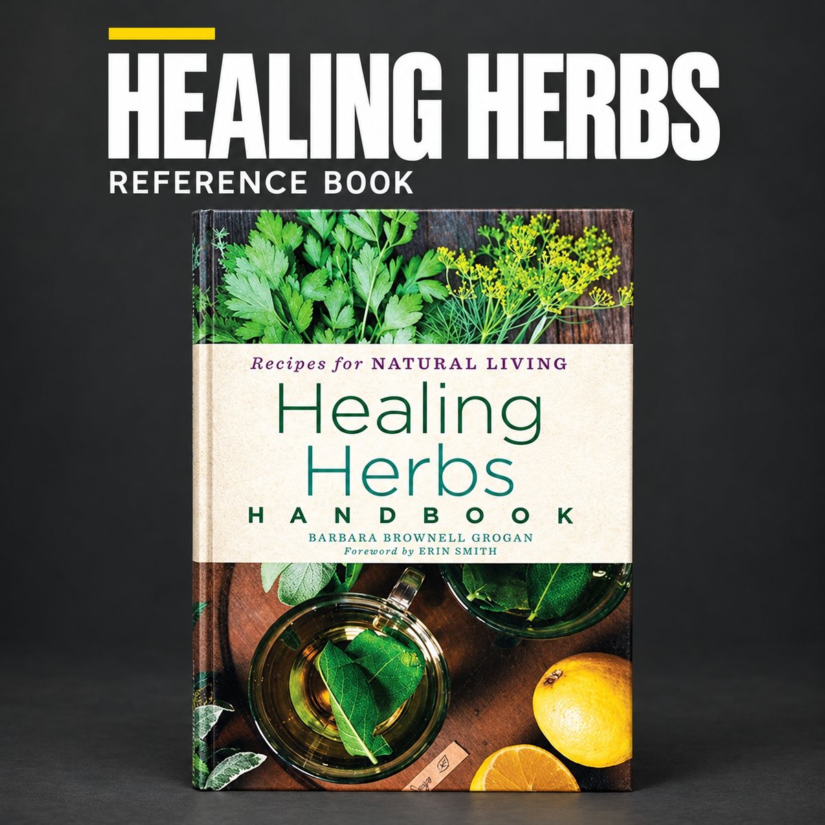 Healing Herbs Handbook – Guide Book on charcoal background