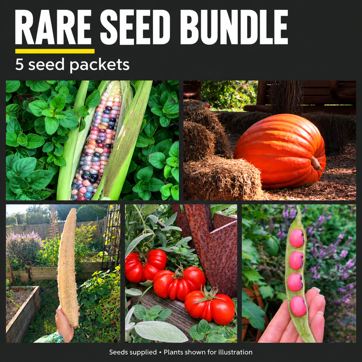 Rare Seed Bundle Pack