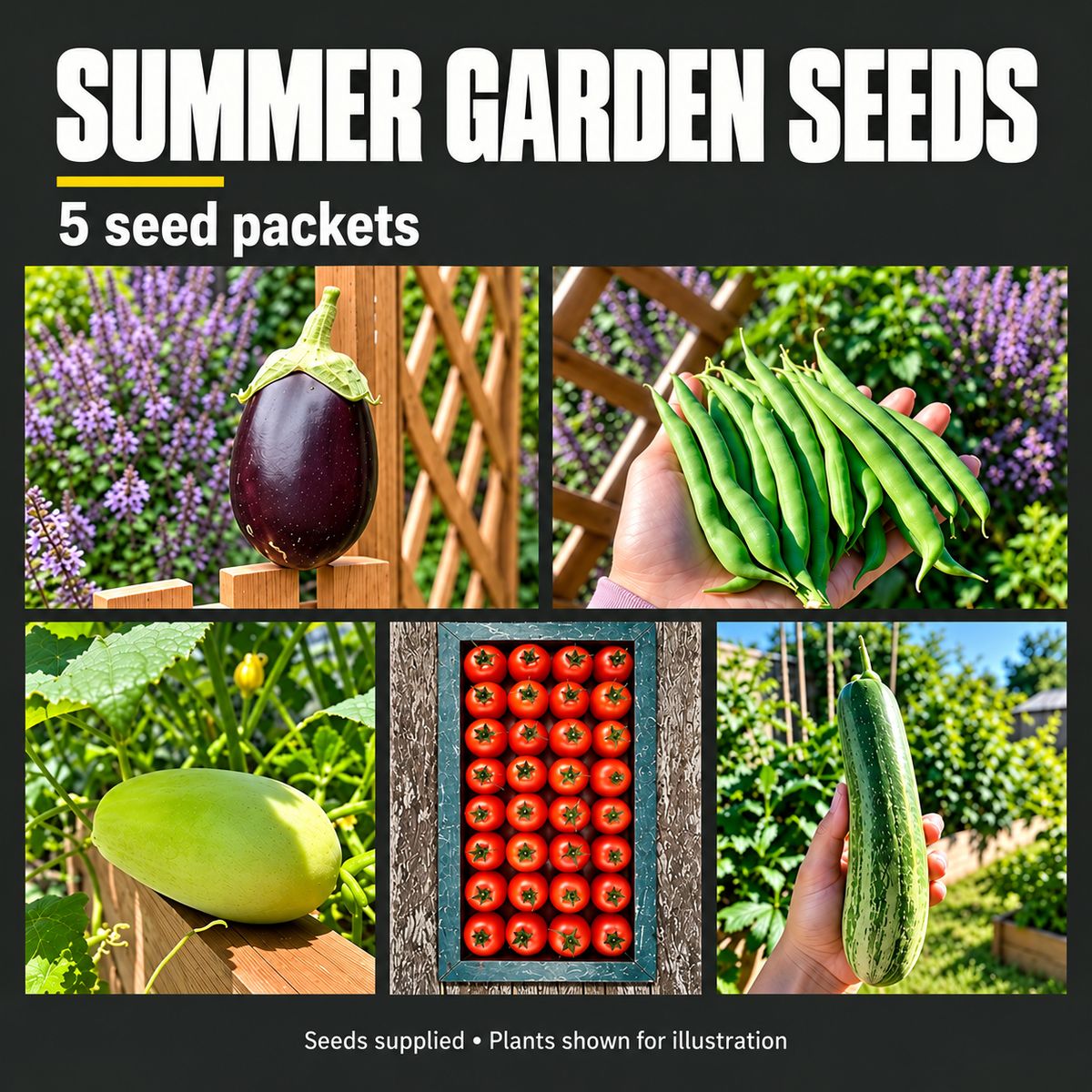 Summer Garden Seed Kit in a Bag