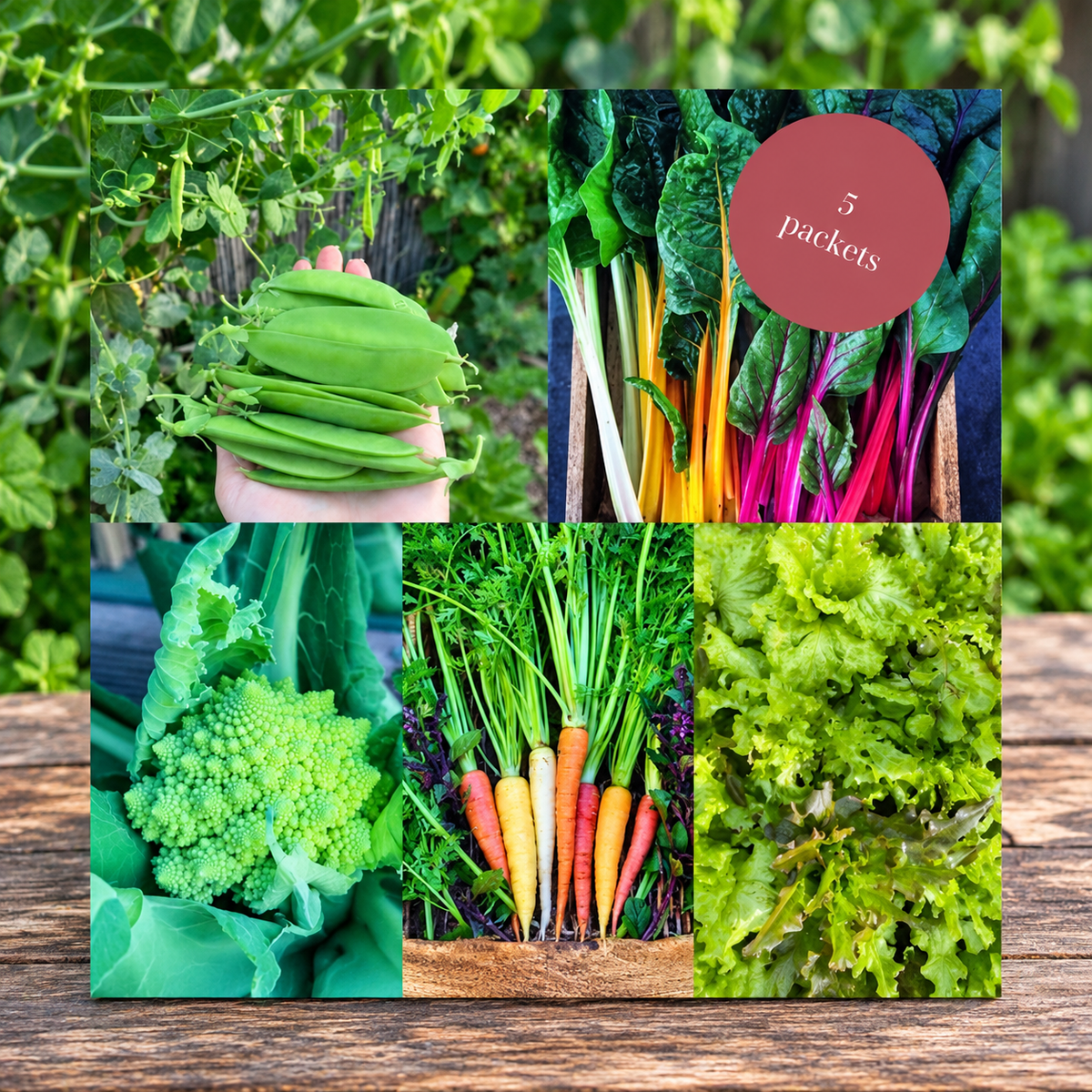 Winter Garden Seed Kit in a Bag