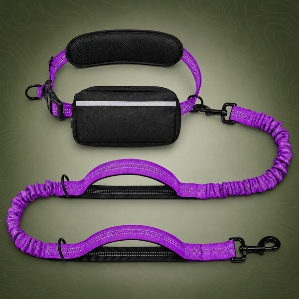 Hands-Free Dog Walking Belt with Bungee Leash, Purple