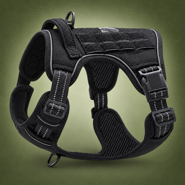Black Professional Adjustable Tactical Dog Mesh Harness - Large