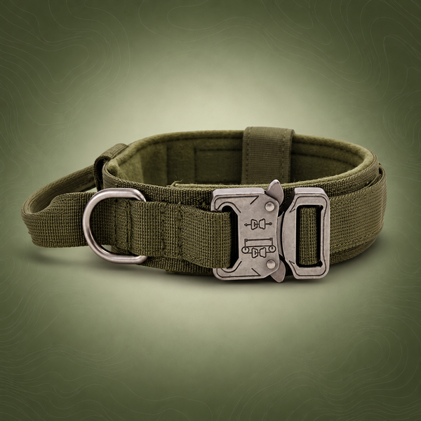 M Army-green Heavy Duty Tactical Dog Collar