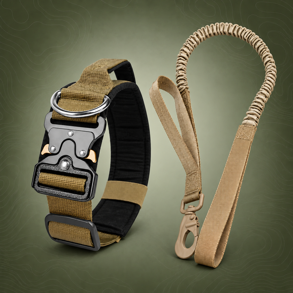Khaki Tactical Dog Collar and Bungee Lead Set (L size)