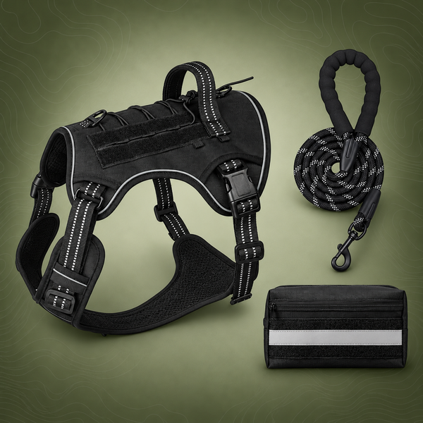 3-Piece Black Tactical Dog Harness Set (L Size)