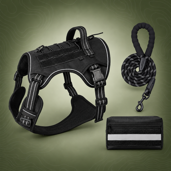 3-Piece Black Tactical Dog Harness Set (M Size)
