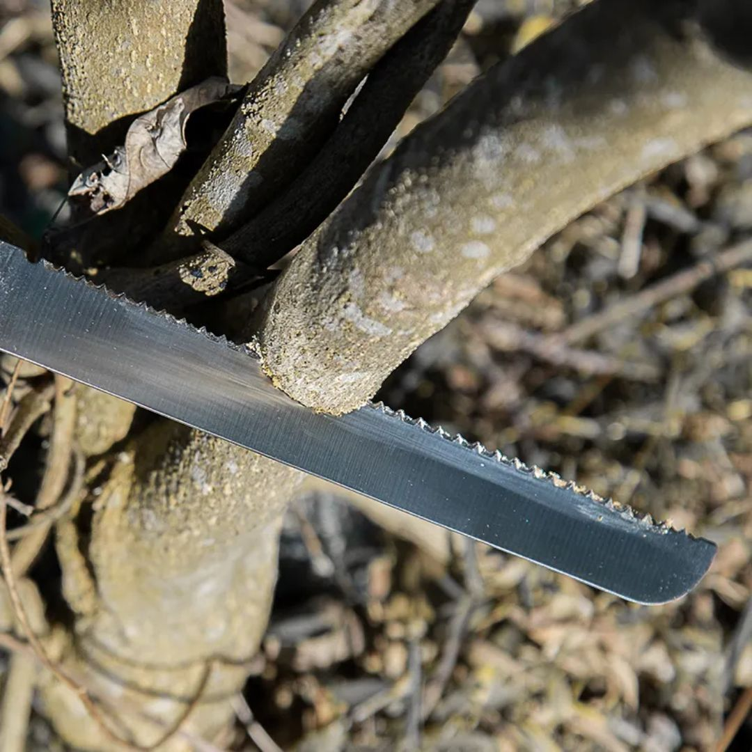 PrepPro Tactical 3-in-1 Survival Axe System
Compact. Reliable. Adventure-Ready. - PrepPro Australia