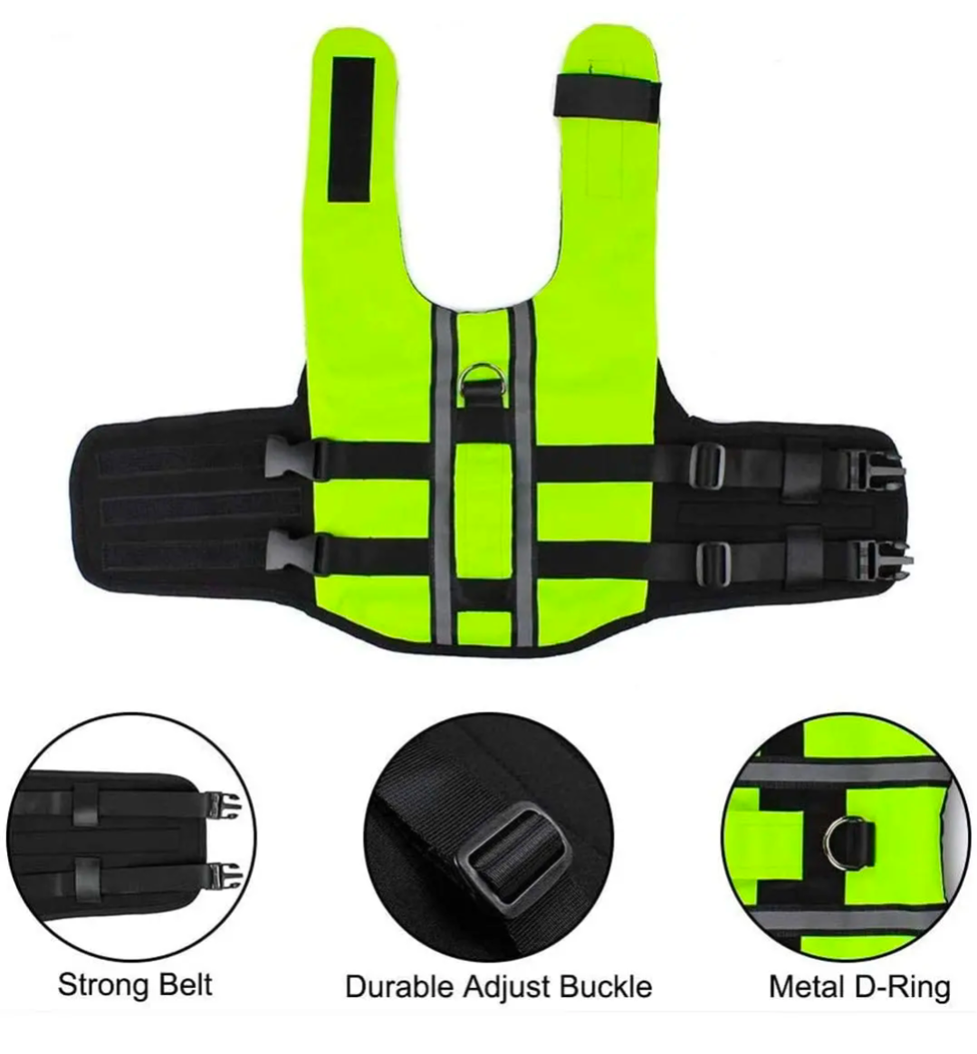 PetPro® Hi-Vis Dog Life Vest – Keep Your Best Mate Safe on the Water! - PrepPro Australia