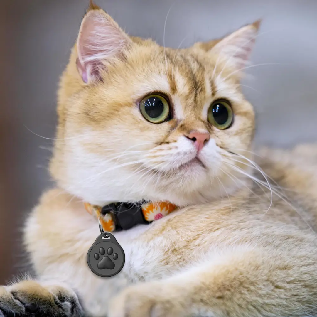 Smart QR Pet ID Tag – Worry-Free Protection for Your Furry Friend
Scan. Locate. Reunite. - PrepPro Australia