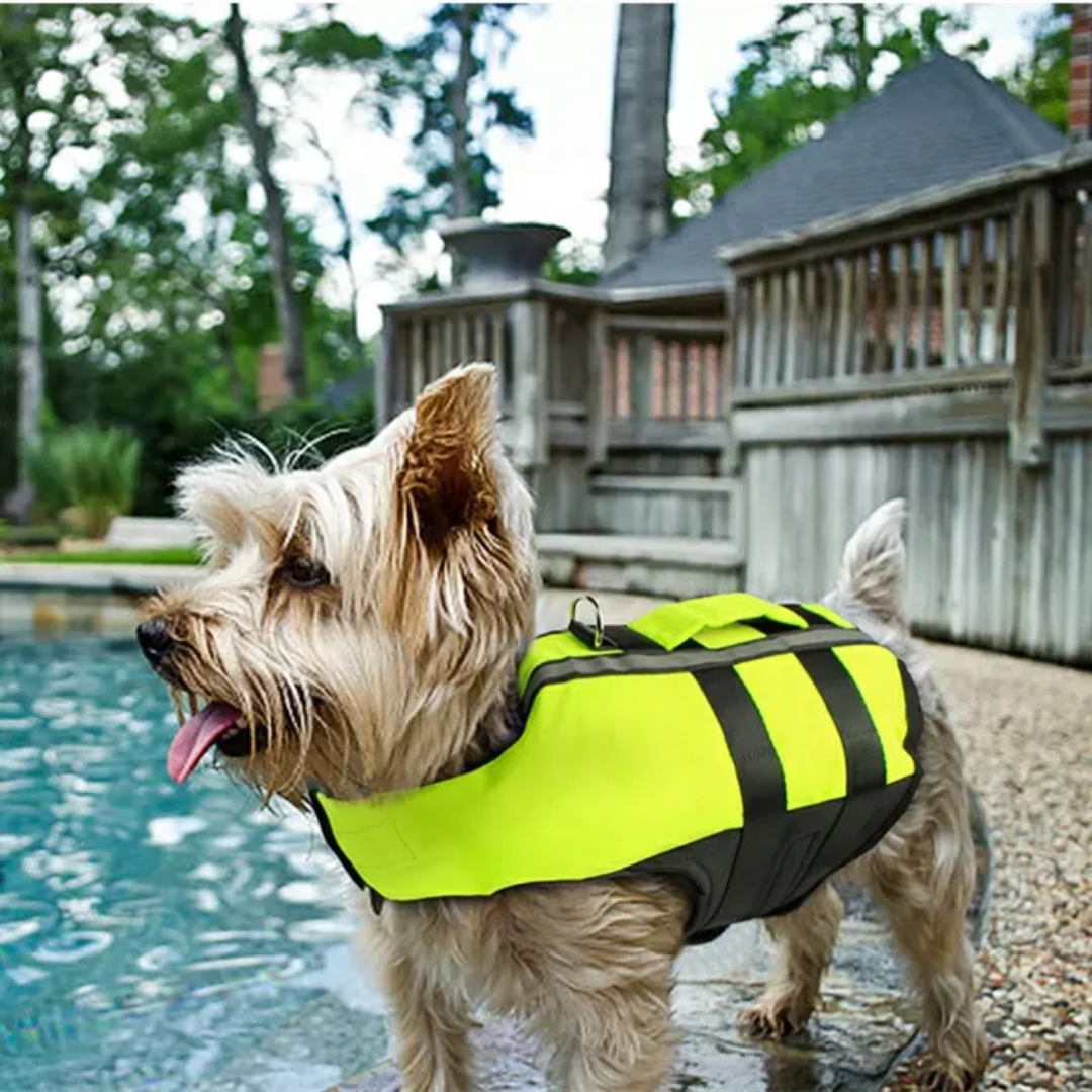 PetPro® Hi-Vis Dog Life Vest – Keep Your Best Mate Safe on the Water! - PrepPro Australia