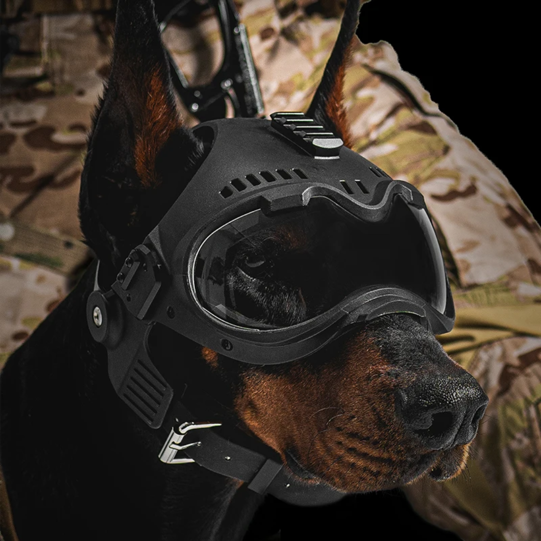 K9 Guardian Dog Goggles & Helmet Set