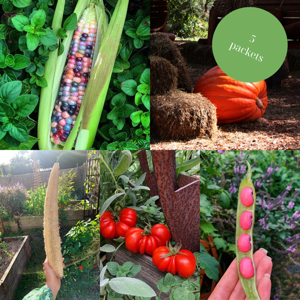 Home & Garden