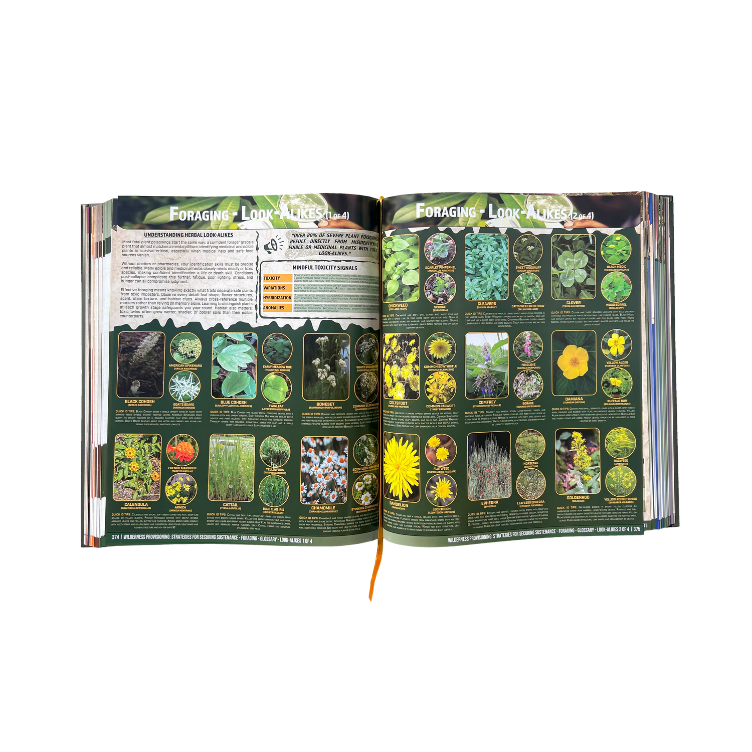 Beyond the Fall – The Complete Civilization Reboot Manual