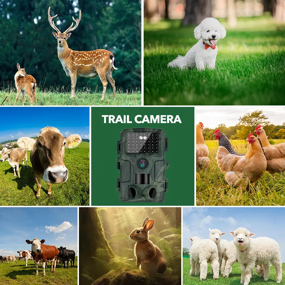 60MP 4K Trail Camera with WiFi & Night Vision