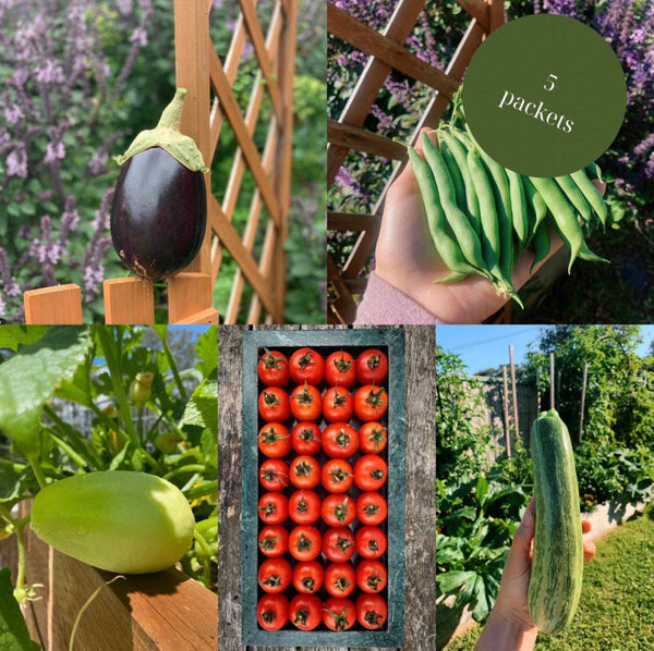 Summer Garden Seed Kit in a Bag