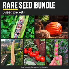 Rare Seed Bundle Pack