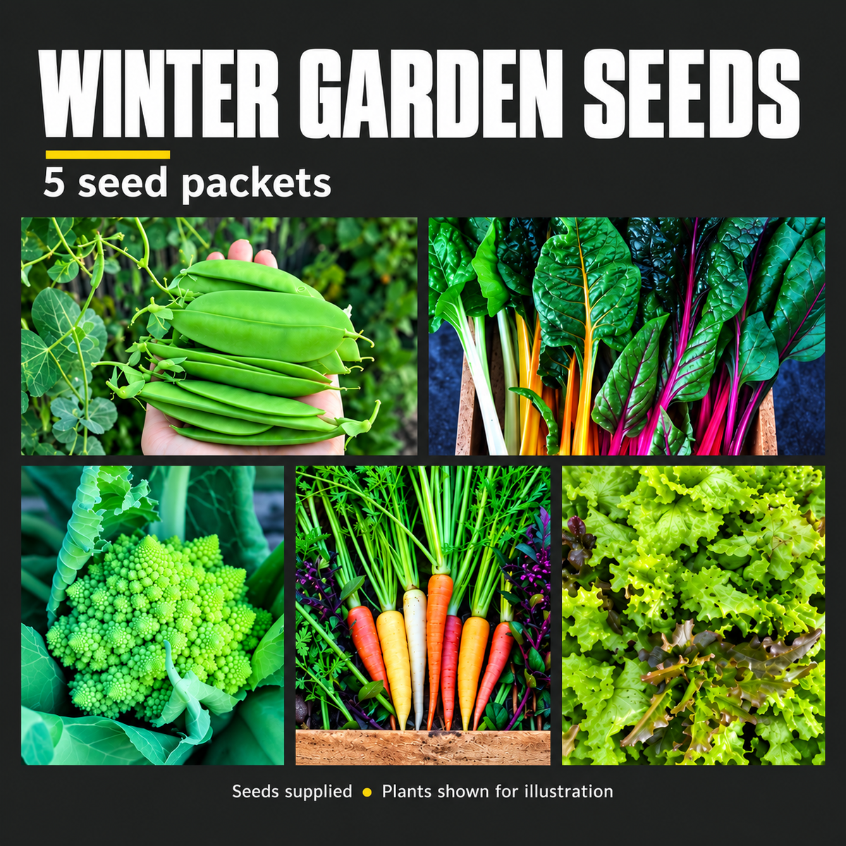 Winter Garden Seed Kit in a Bag