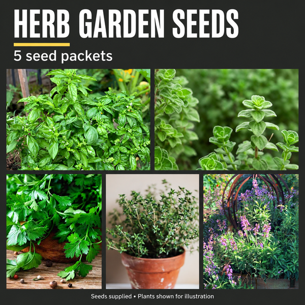Herb Garden Seed Kit in a Bag