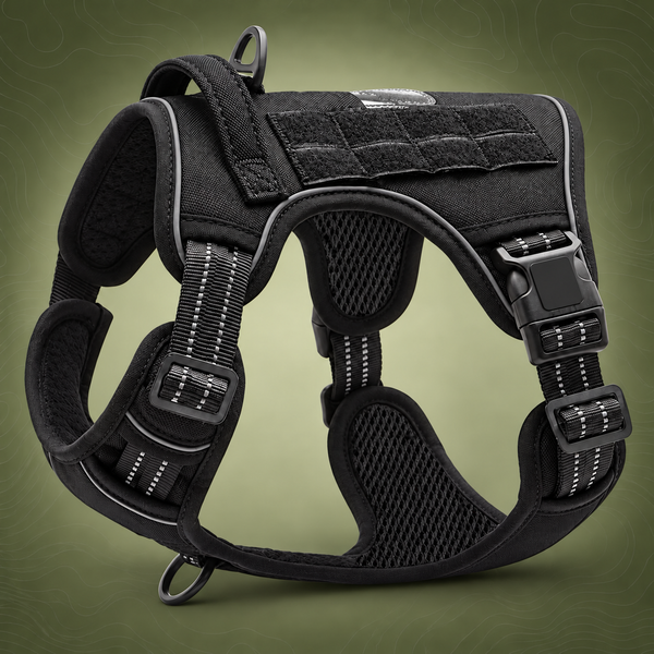 Black Professional Adjustable Tactical Dog Mesh Harness - XL