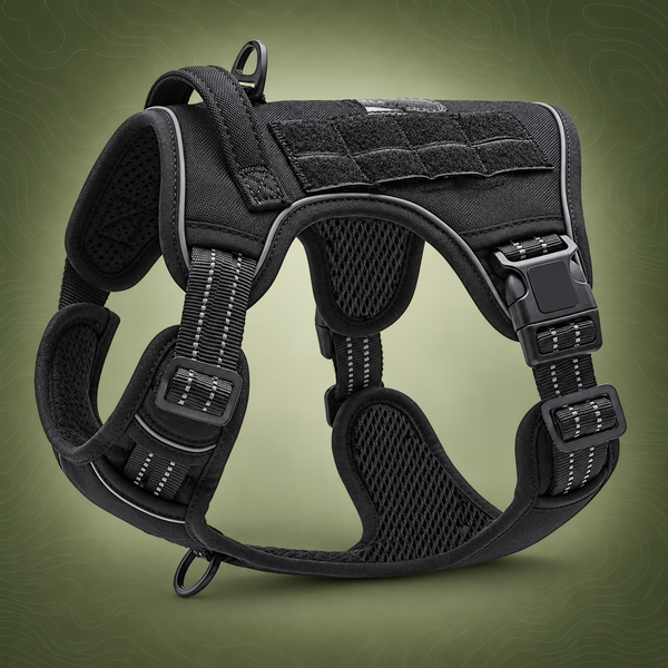 Black Professional Adjustable Tactical Dog Mesh Harness - Medium