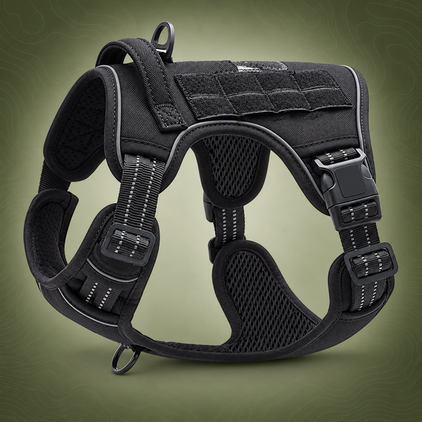Black Professional Adjustable Tactical Dog Mesh Harness - Small