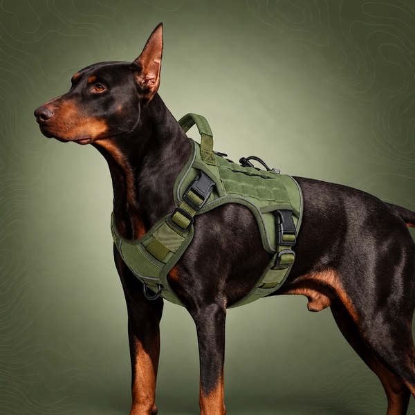 Dog Harness Large Dog No Pull Reflective Adjustable Pet Vest with Handle - Army Green XL