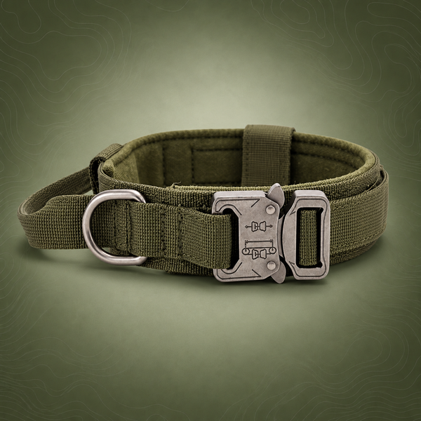 L Army-green Heavy Duty Tactical Dog Collar