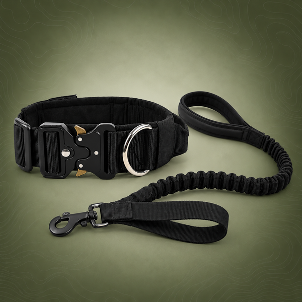 Black Tactical Dog Collar and Bungee Lead Set (L size)