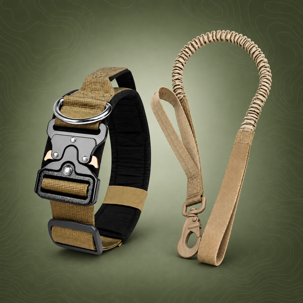 Khaki Tactical Dog Collar and Bungee Lead Set (M size)