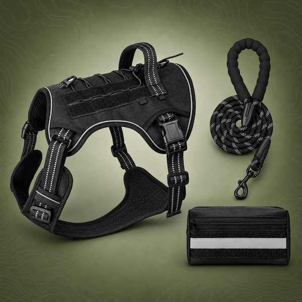 3-Piece Black Tactical Dog Harness Set (S Size)