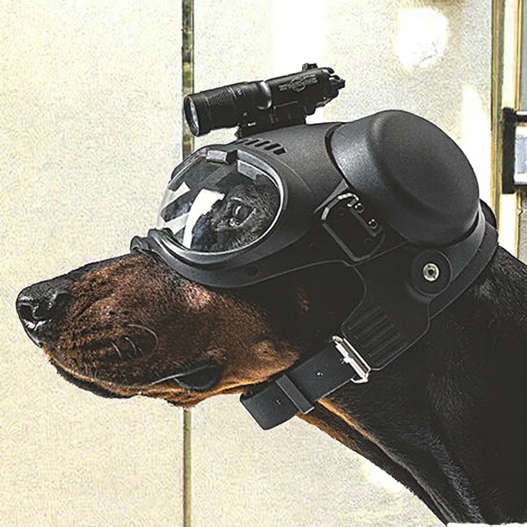 K9 Guardian Dog Goggles & Helmet Set