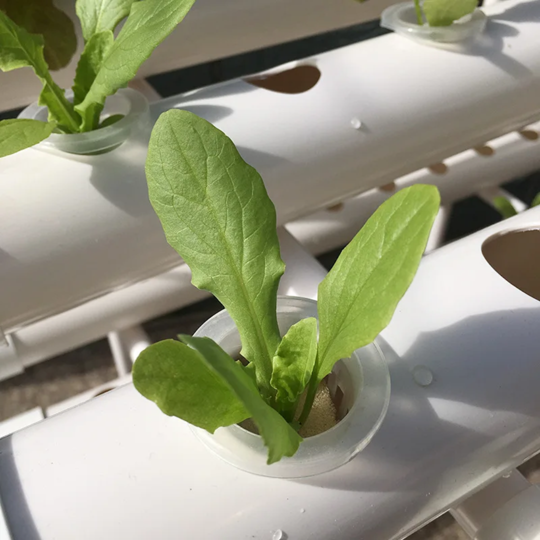 4-Tier NFT Hydroponic Grow System Kit | 36 Plant Vertical Garden